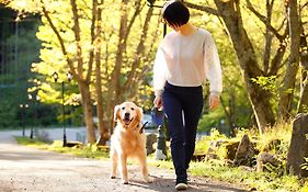 高山わんわんパラダイス