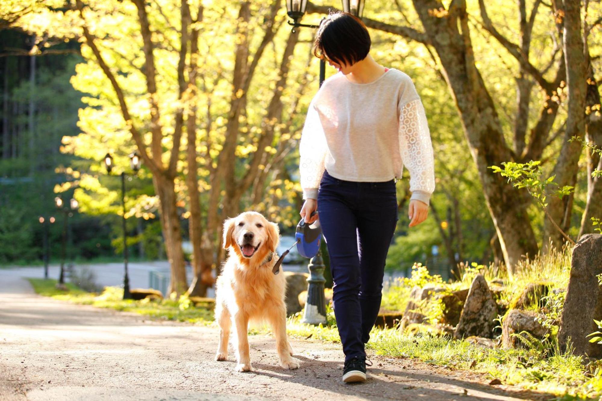 ホテル 高山わんわんパラダイス エクステリア 写真