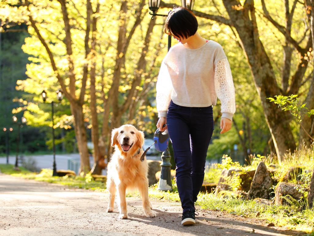 ホテル 高山わんわんパラダイス エクステリア 写真