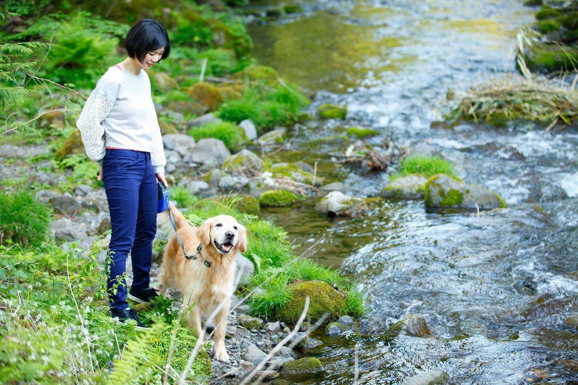 ホテル 高山わんわんパラダイス エクステリア 写真